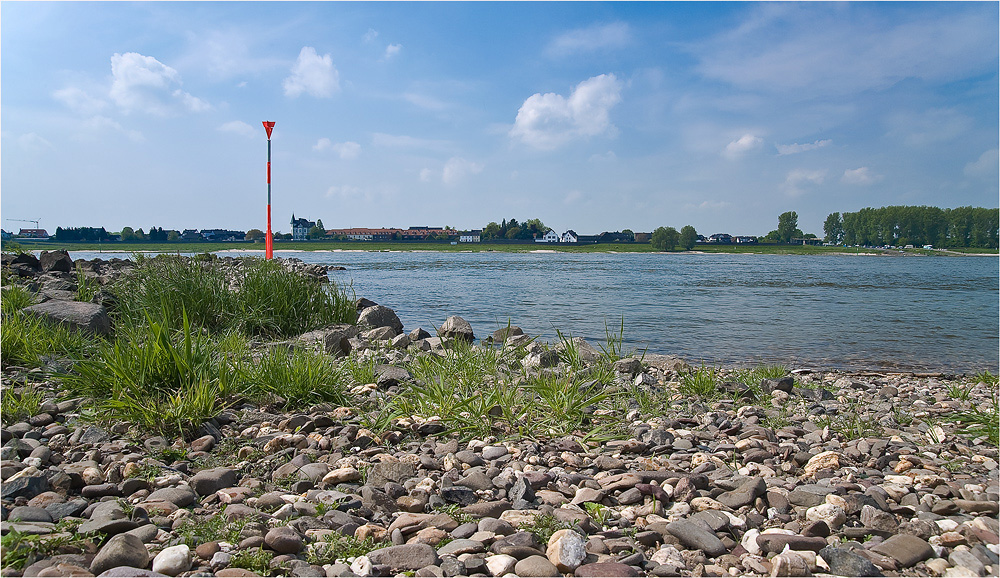 ~ am Rhein ~