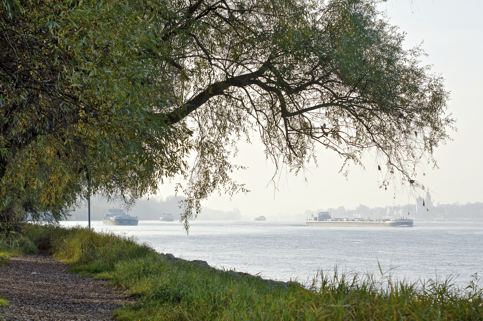 am Rhein