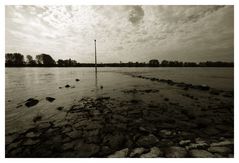 Am Rhein