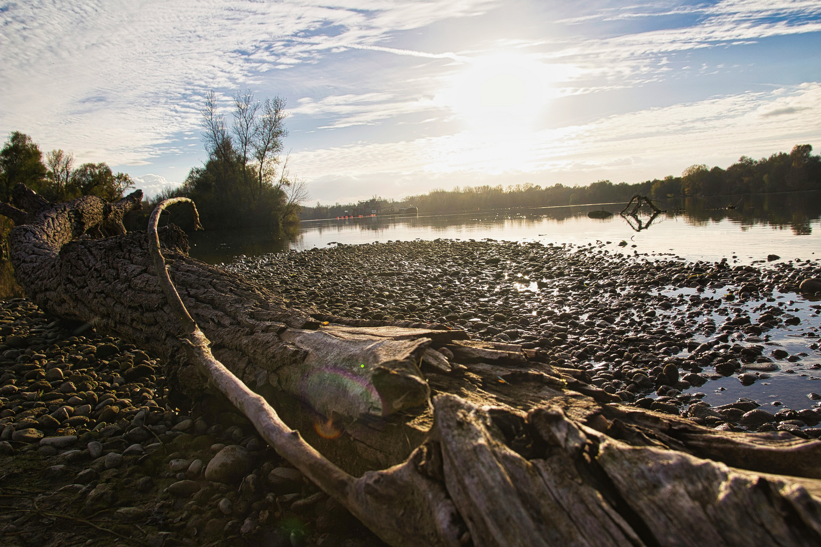 Am Rhein