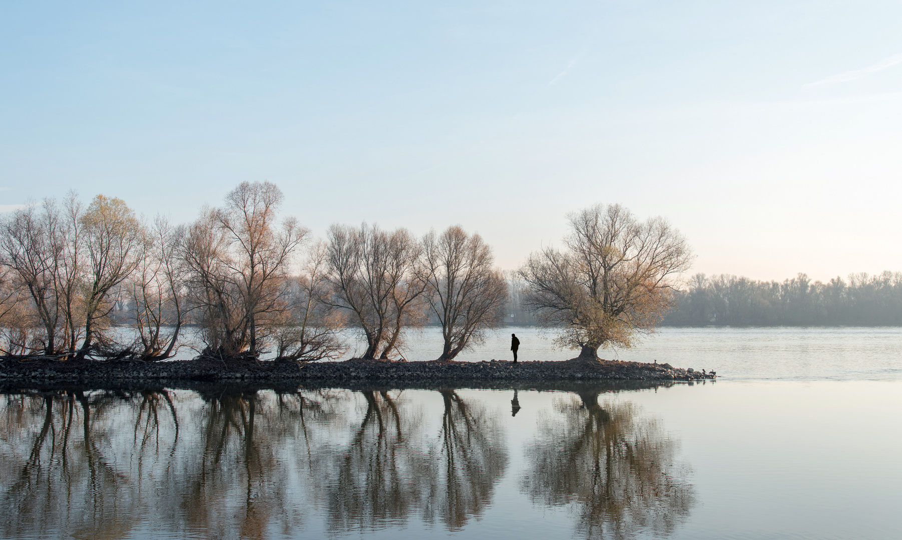 Am Rhein