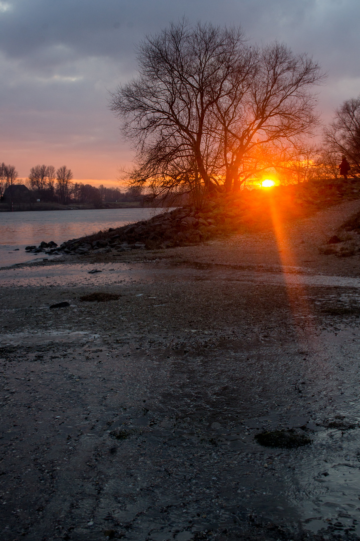 Am Rhein...