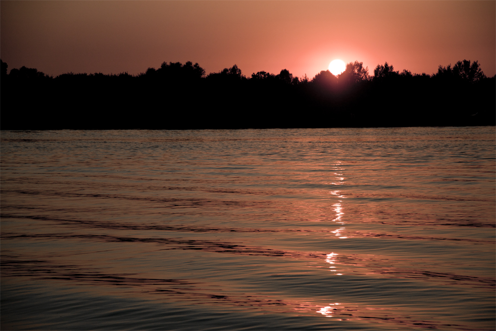 Am Rhein