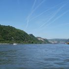 am Rhein