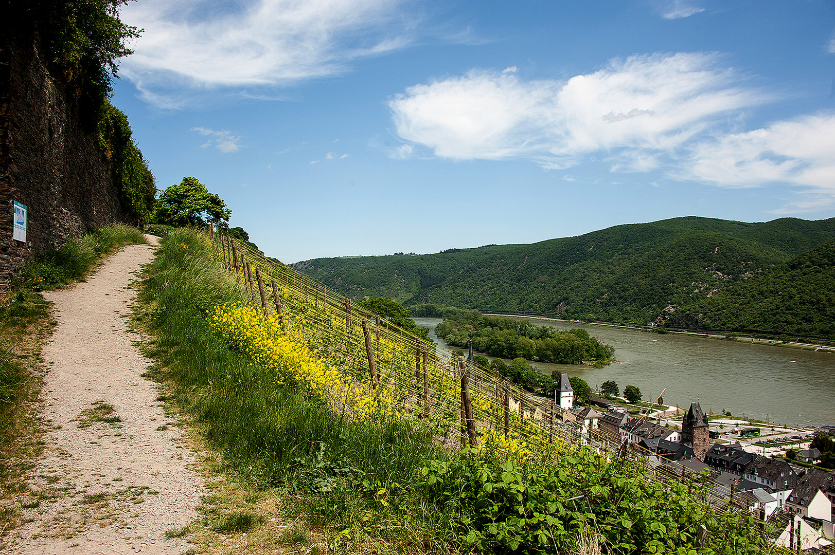 Am Rhein