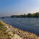 Am Rhein