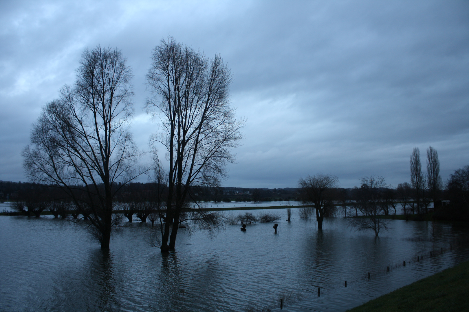 Am Rhein bei Arnheim