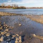 Am Rhein bei Benrath