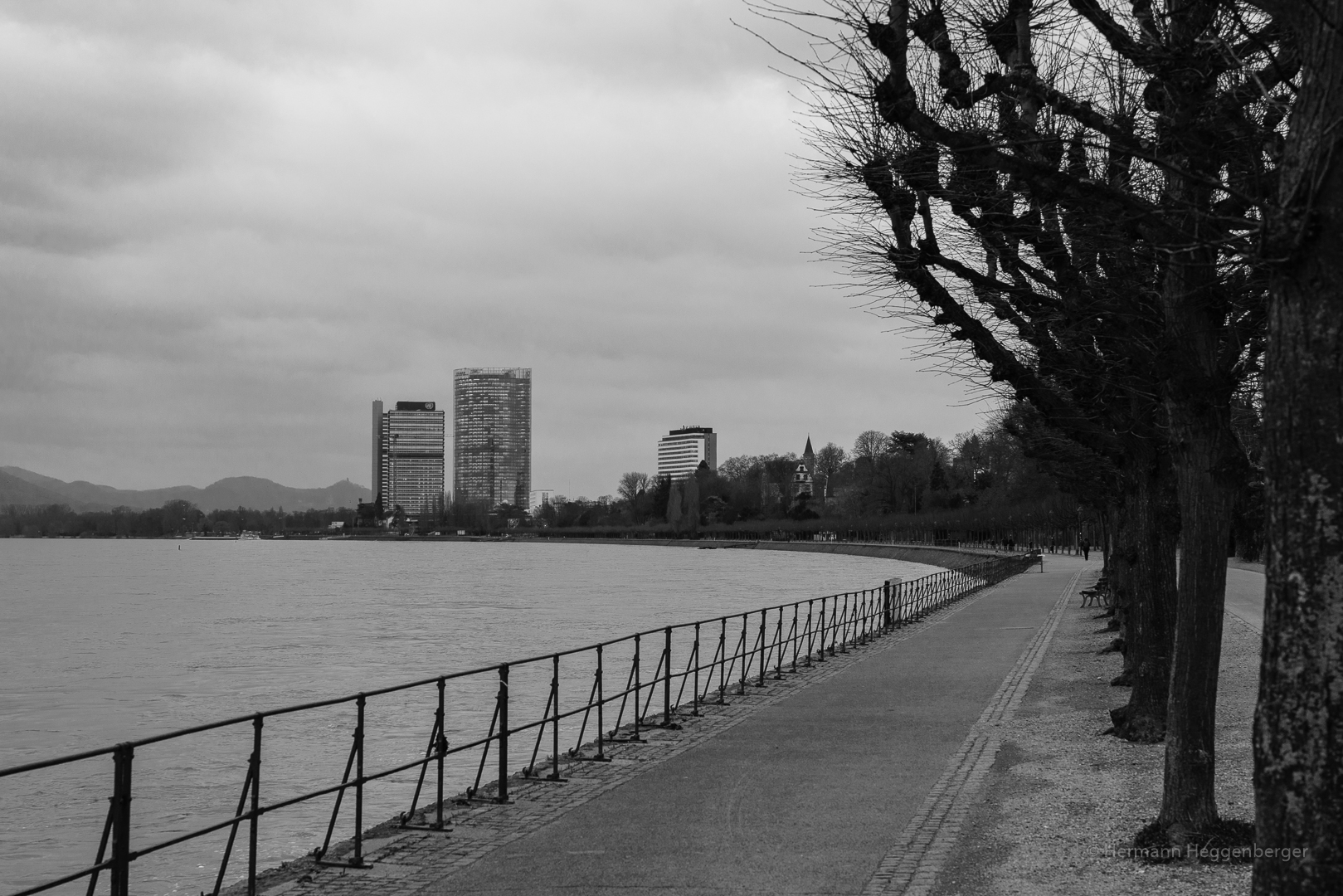 Am Rhein bei Bonn