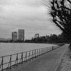 Am Rhein bei Bonn