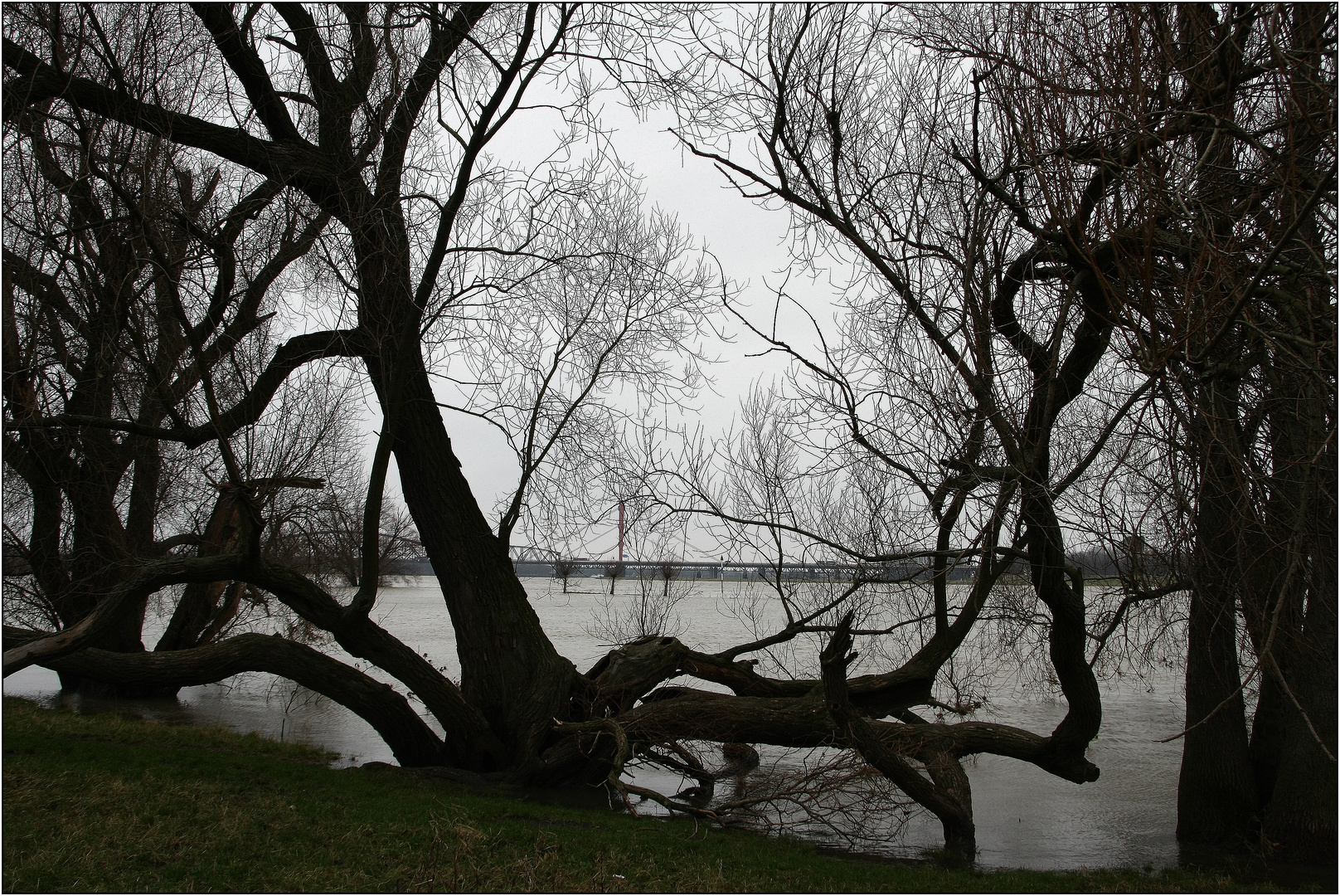 Am Rhein bei Duisburg