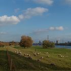 Am Rhein bei Duisburg