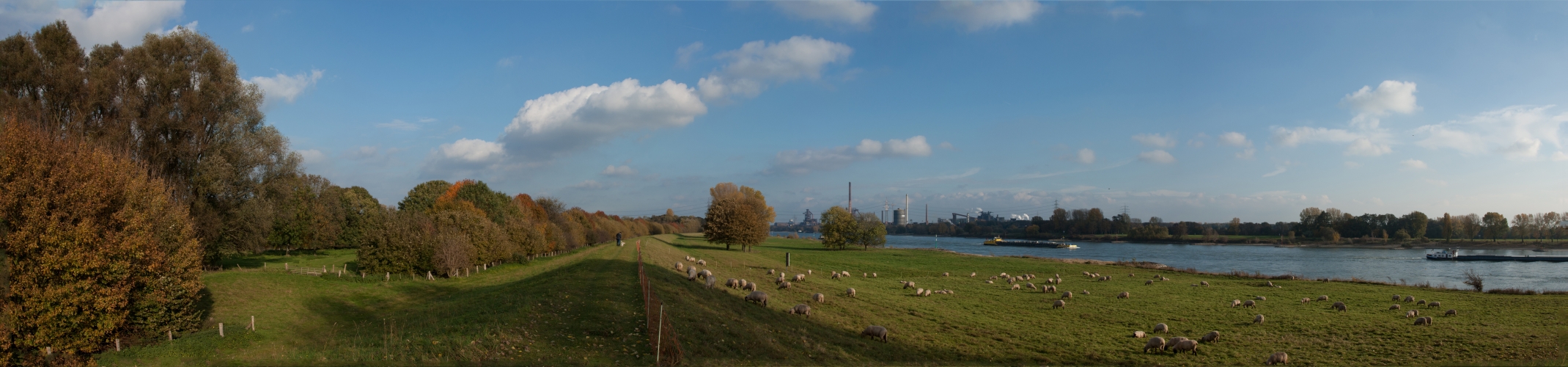 Am Rhein bei Duisburg