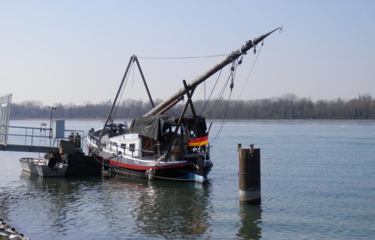 Am Rhein bei Kappel