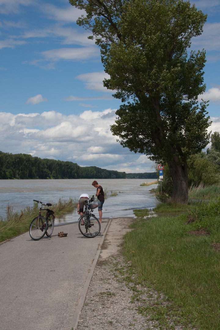 Am Rhein bei Leopoldshafen......