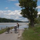 Am Rhein bei Leopoldshafen......