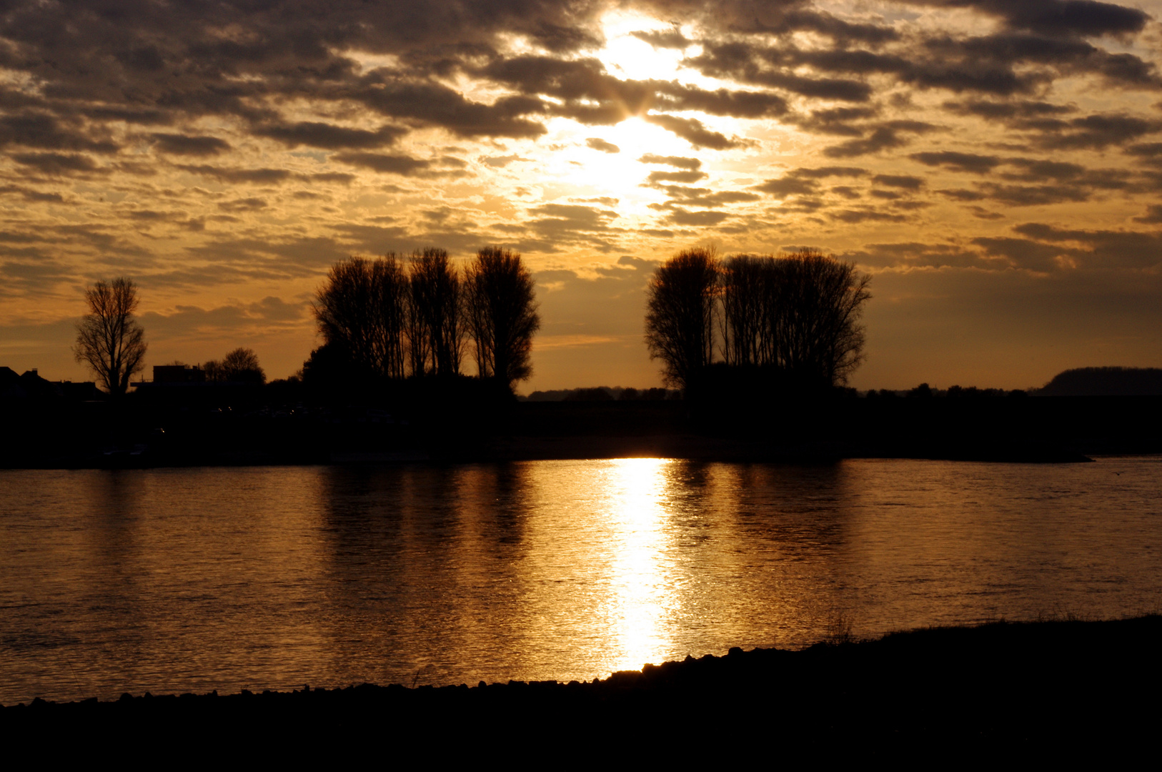 am Rhein bei Leverkusen