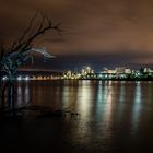 am Rhein bei Nacht 2