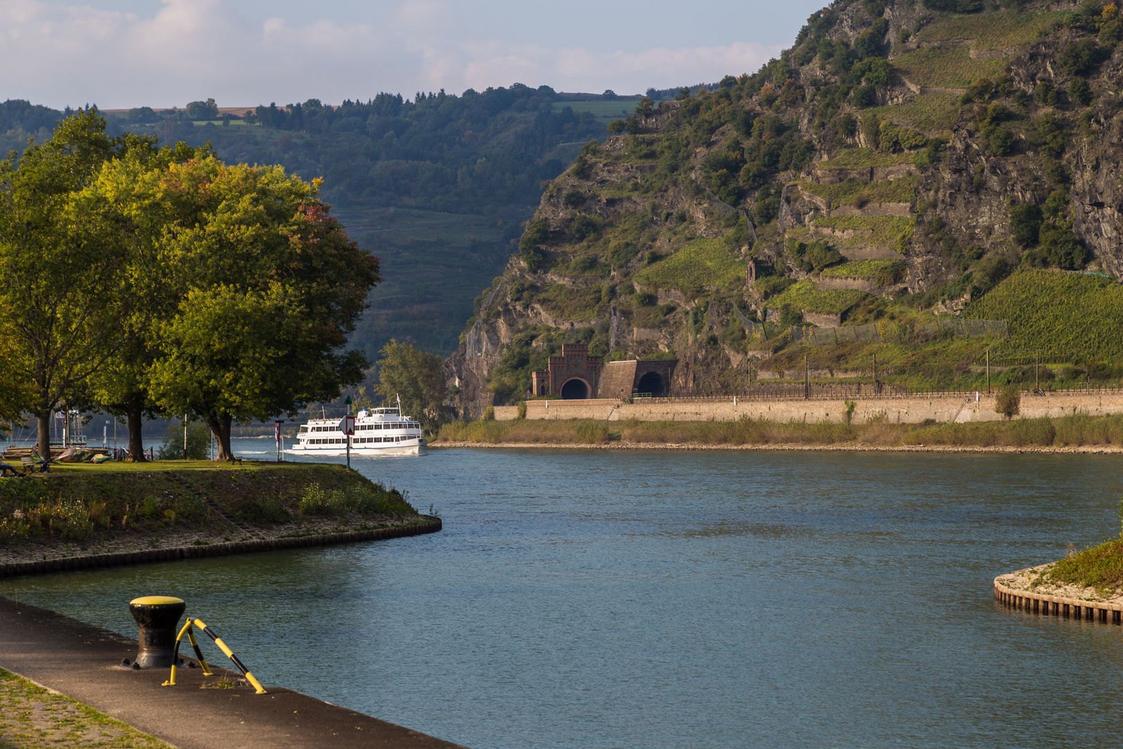 Am Rhein bei Oberwesel