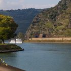 Am Rhein bei Oberwesel