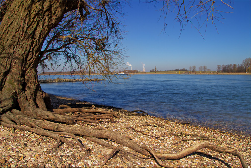 Am Rhein bei Orsoy