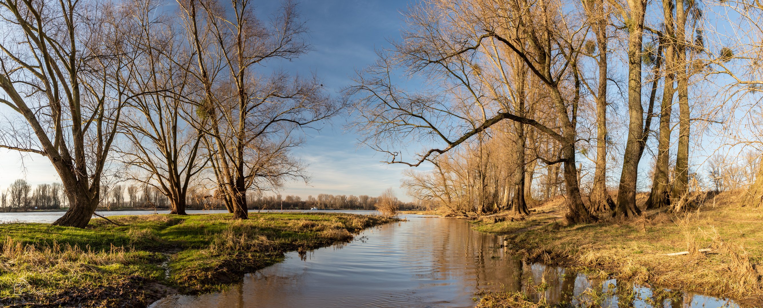 Am Rhein bei Urdenbach 2