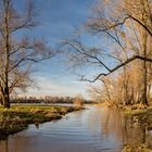 Am Rhein bei Urdenbach 2