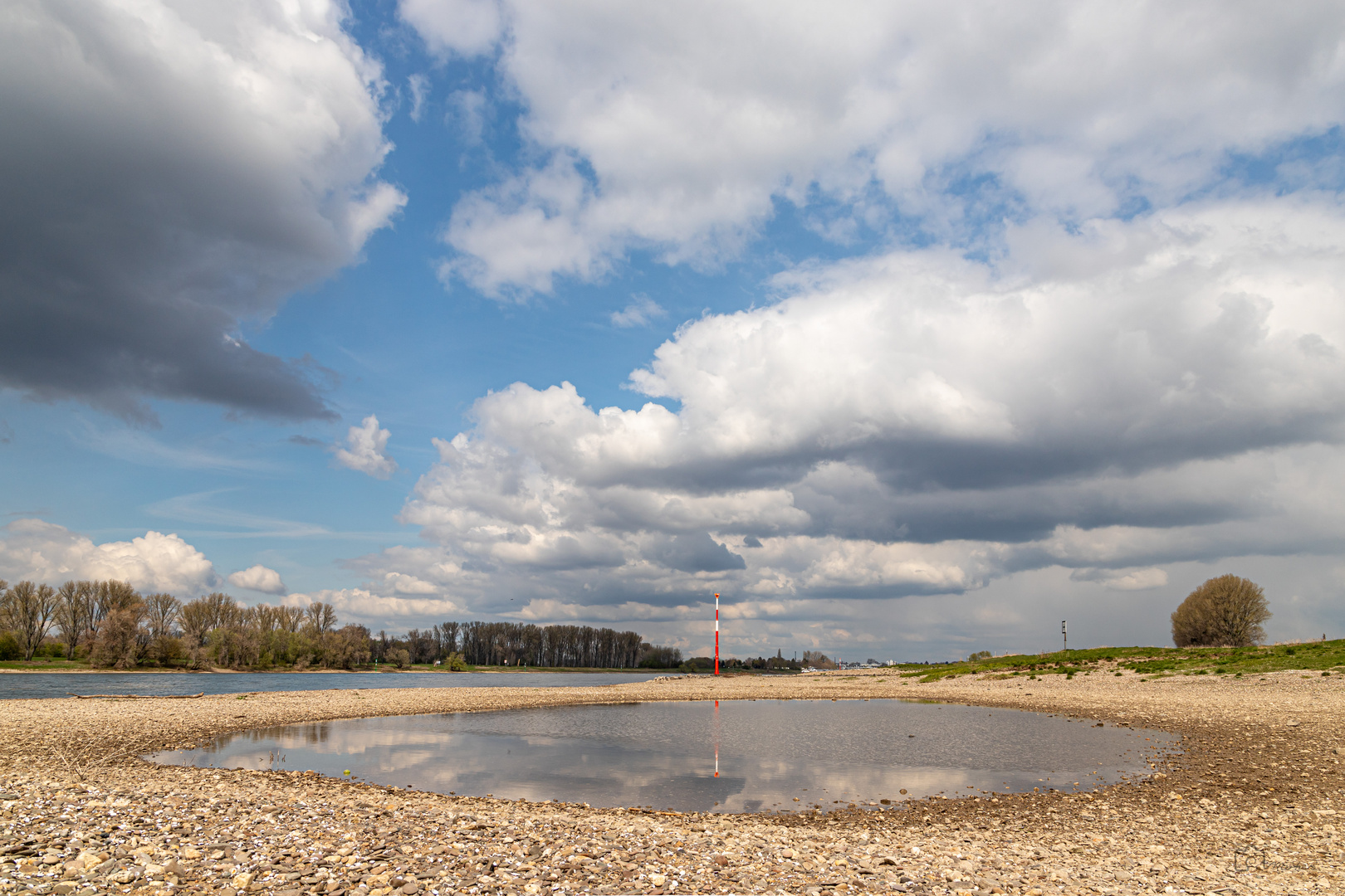 Am Rhein bei Urdenbach