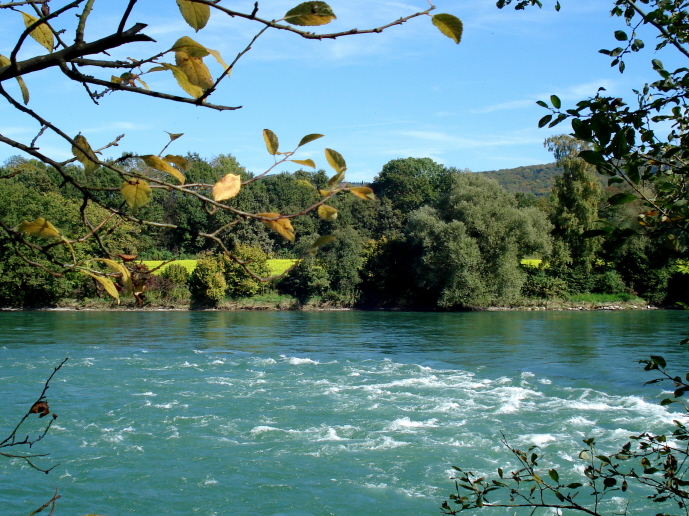 am Rhein, bei Zurzach