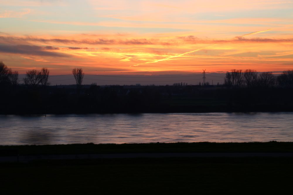 Am Rhein