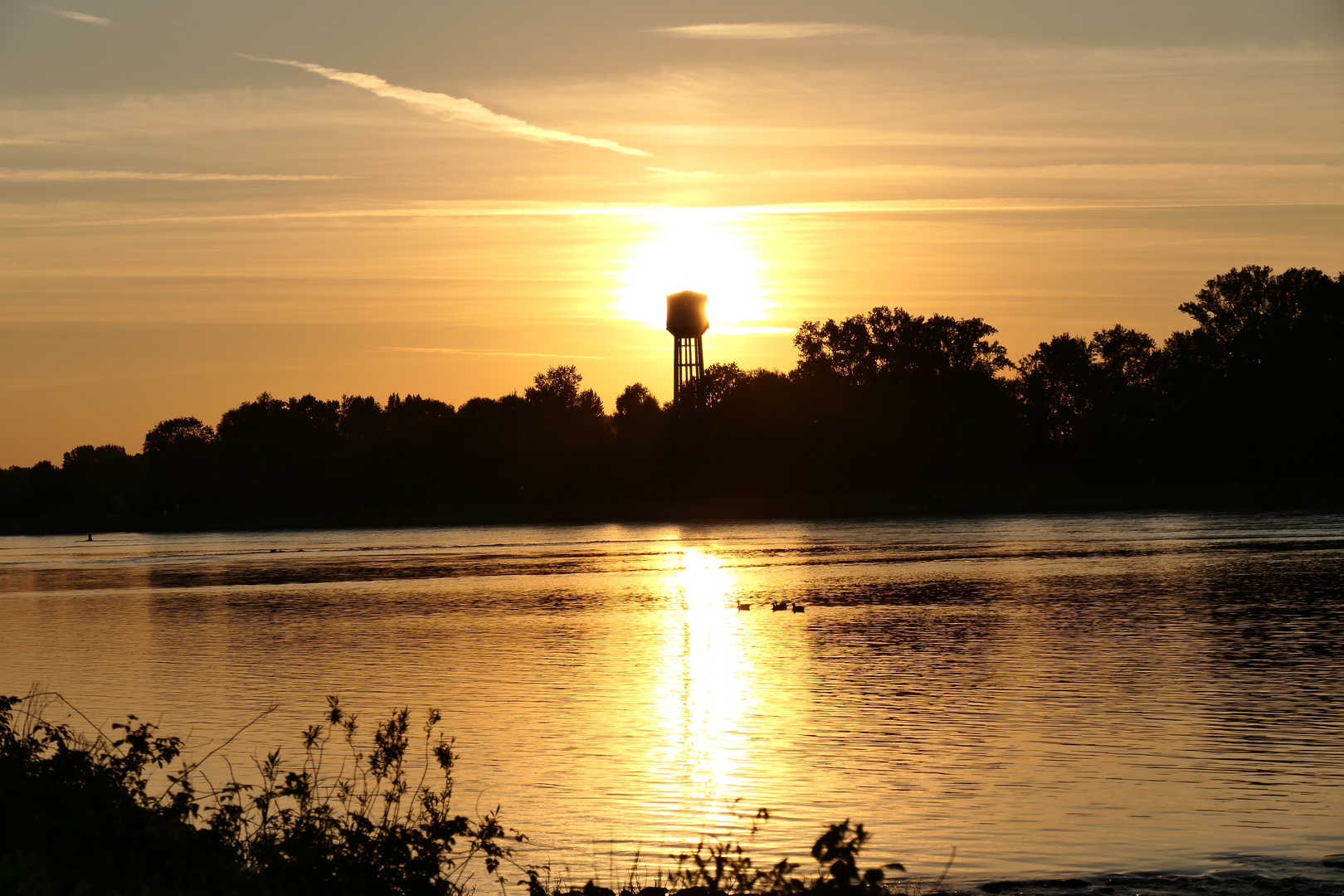 Am Rhein