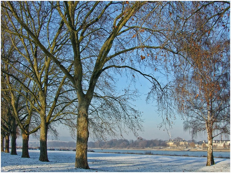 Am Rhein