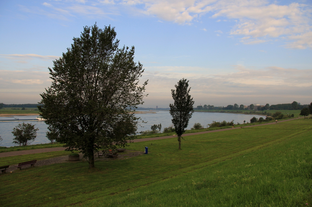 am Rhein