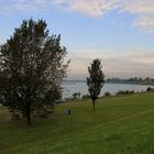 am Rhein