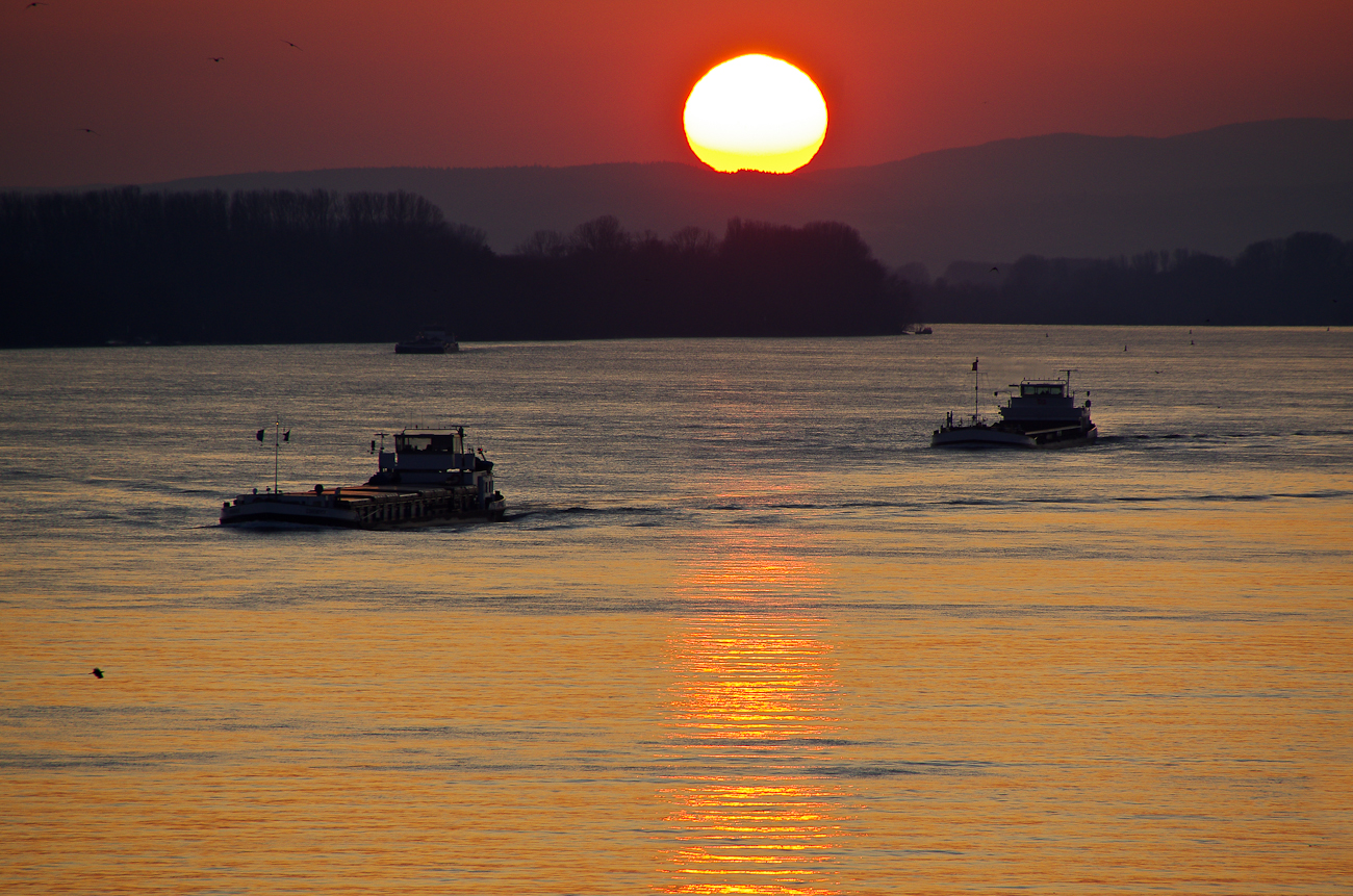 Am Rhein