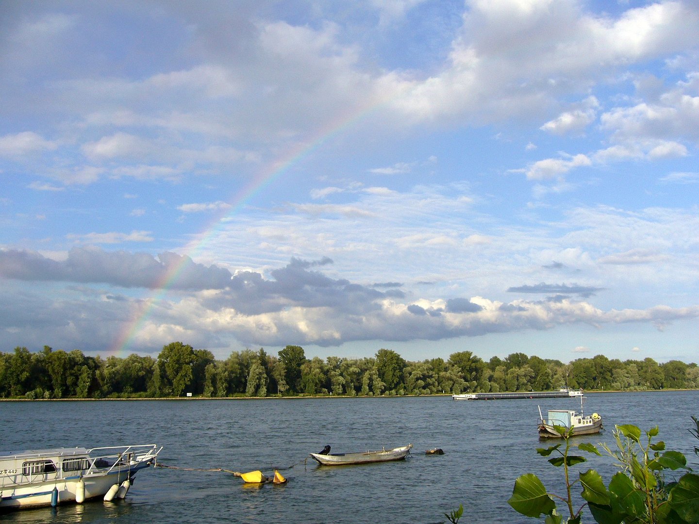 Am Rhein