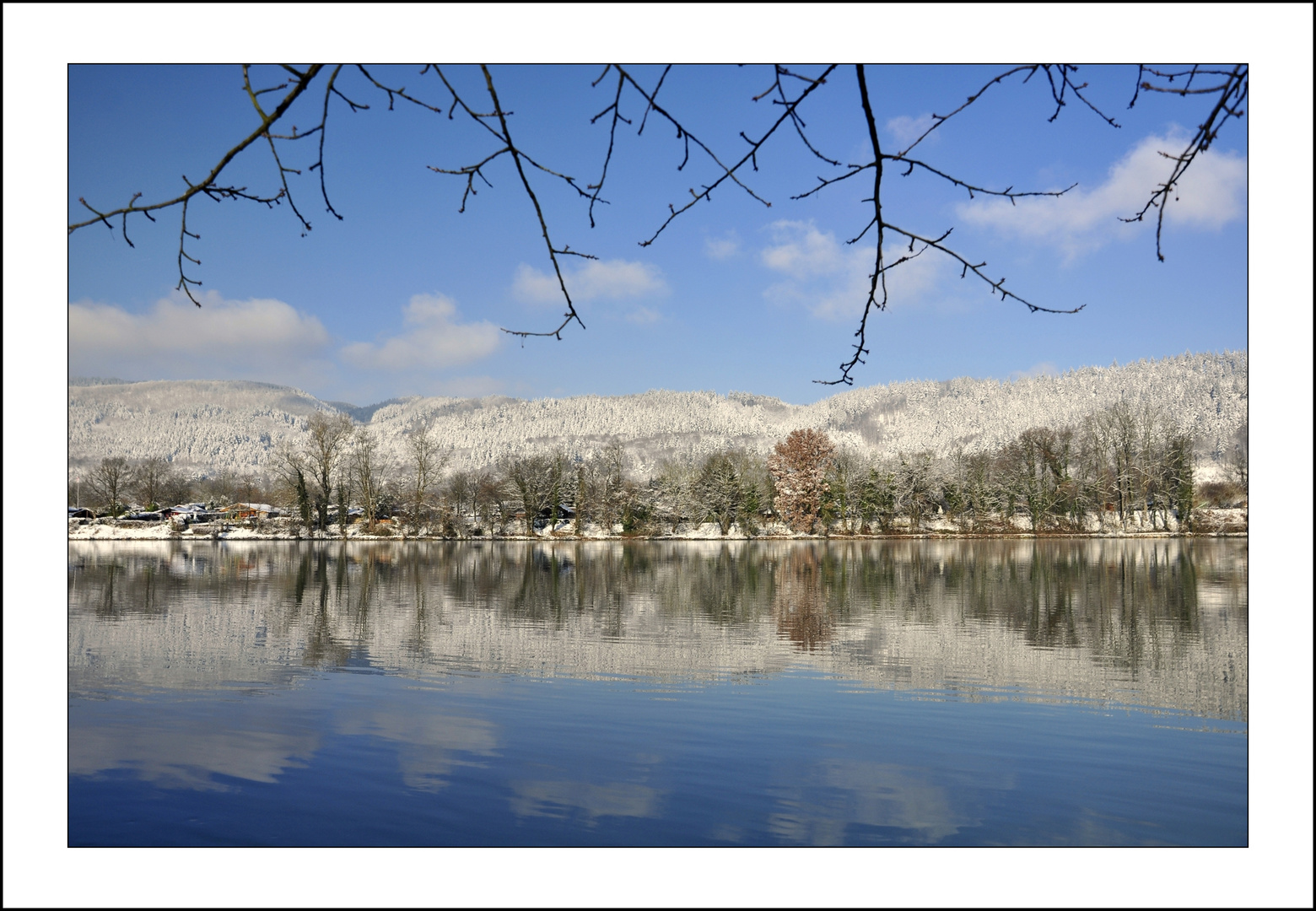 am Rhein