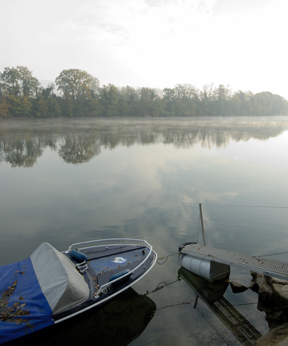 Am Rhein