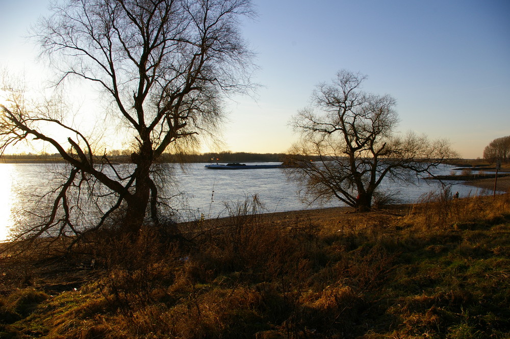 Am Rhein