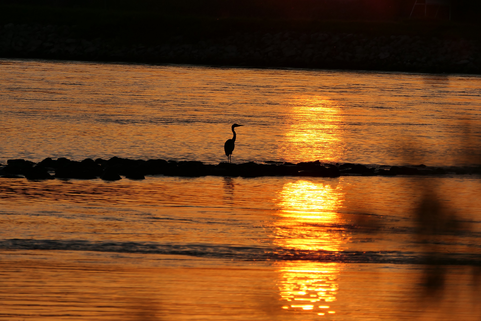 Am Rhein