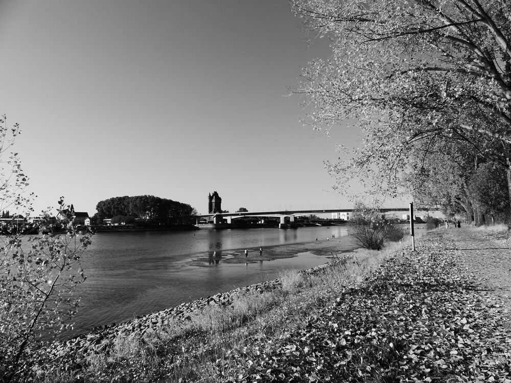 Am Rhein (Hessische Seite)