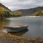 Am Rhein, Idylle. Oktober, letzter Tag. 