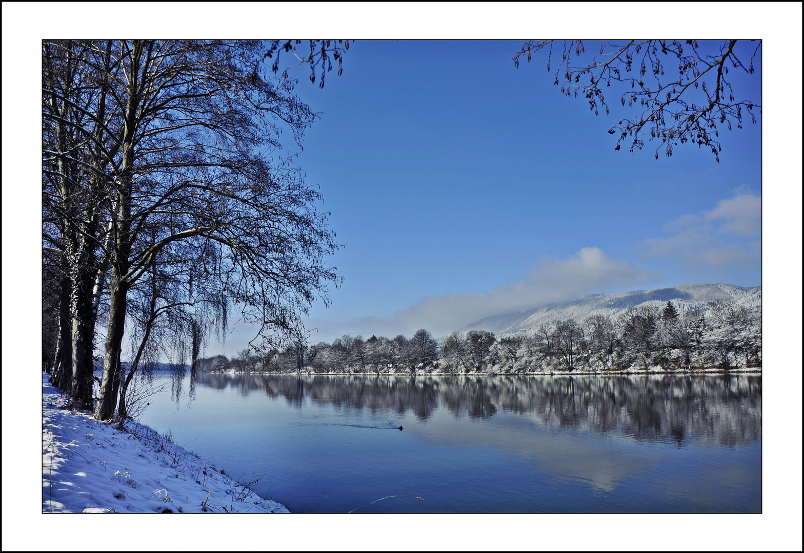 am Rhein II