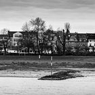 Am Rhein II / Blick auf Düsseldorf - Oberkassel