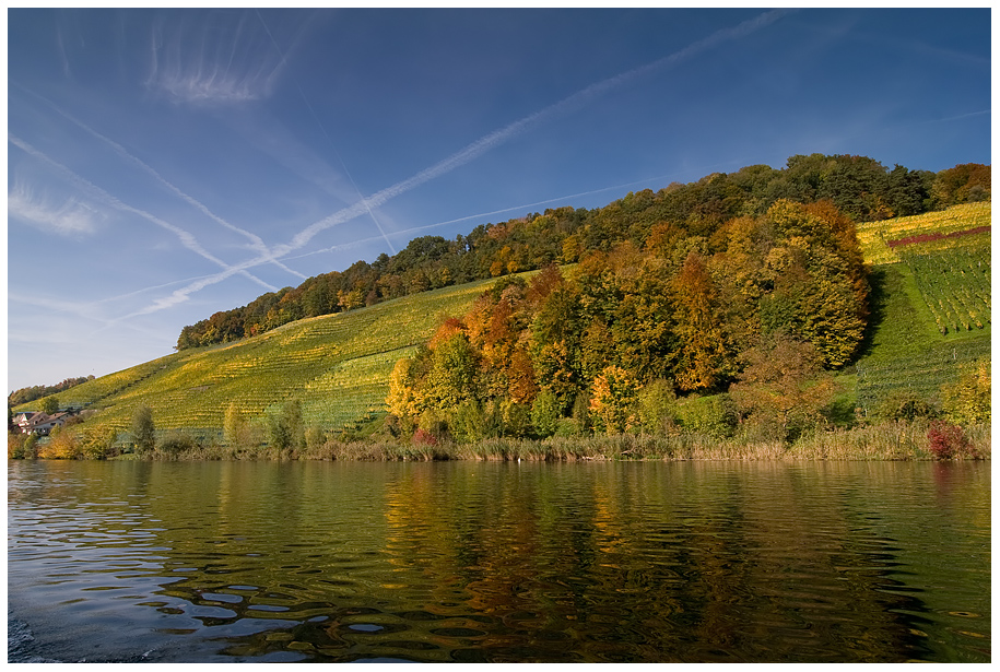 Am Rhein II