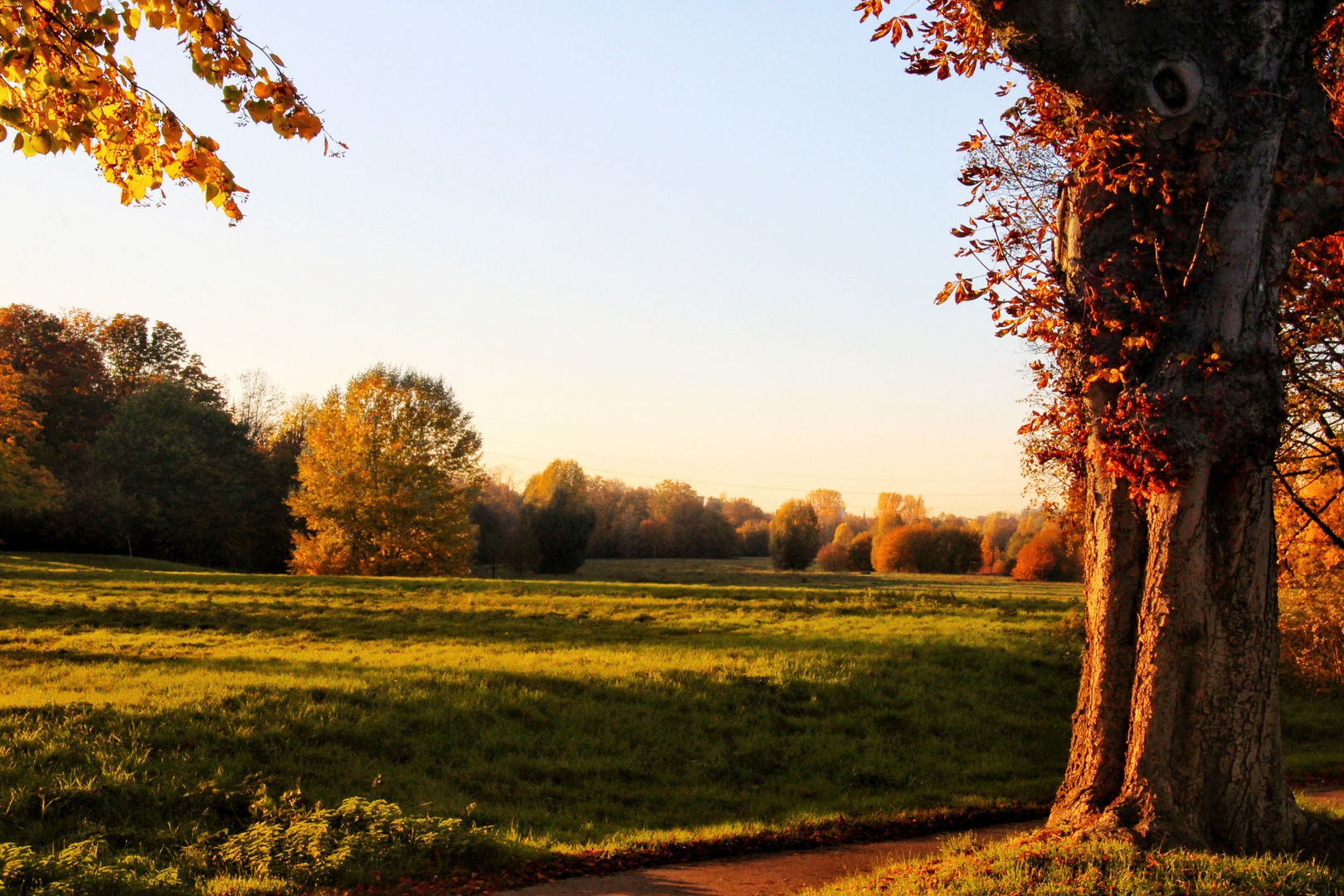 Am Rhein im Herbst 