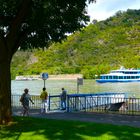 Am Rhein in Boppard