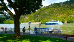 Am Rhein in Boppard