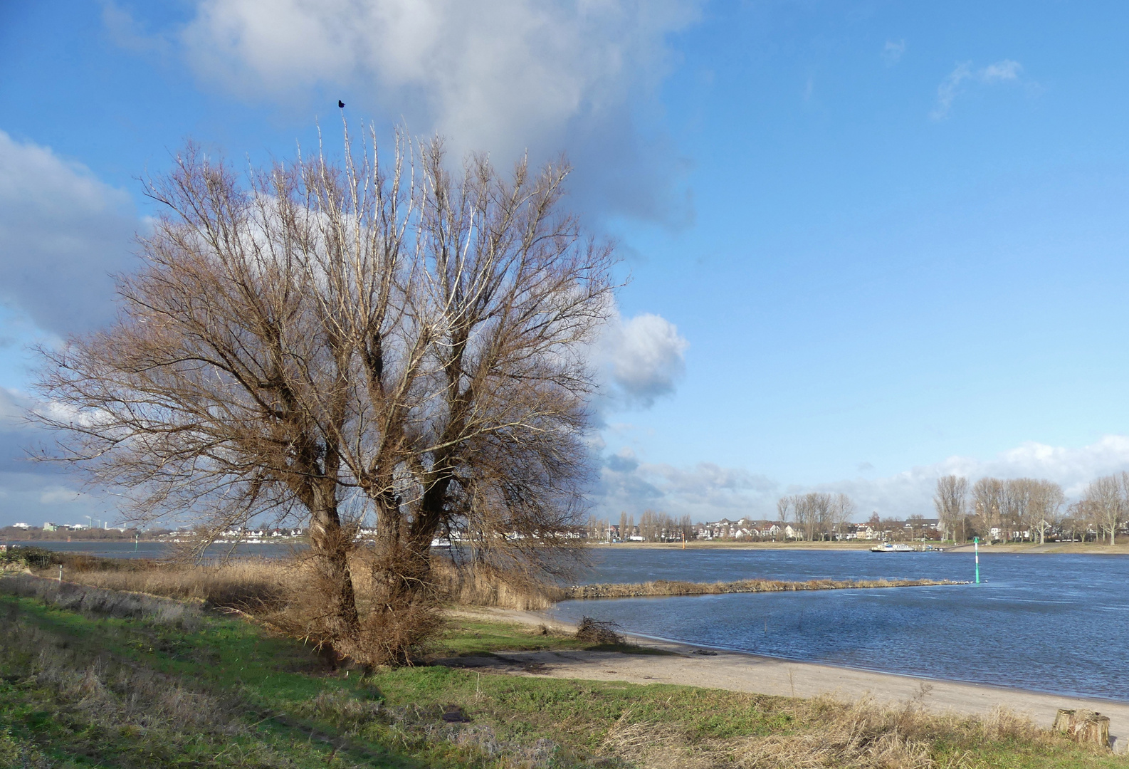 Am Rhein in Köln-Langel