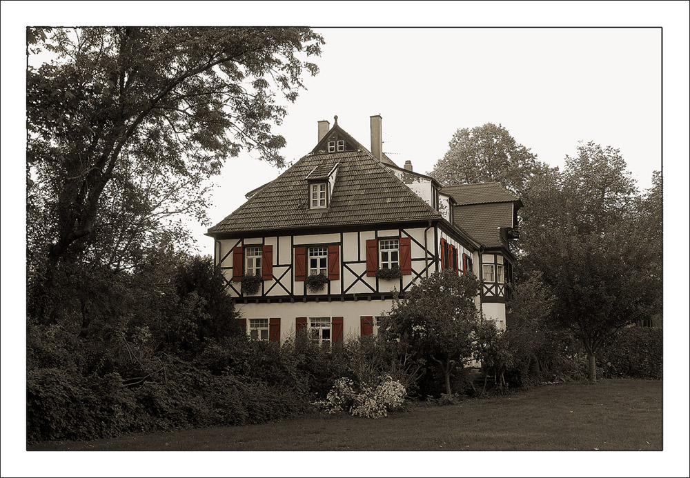 am Rhein in Speyer